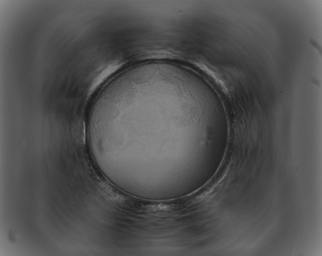 X0000091541317200709071055