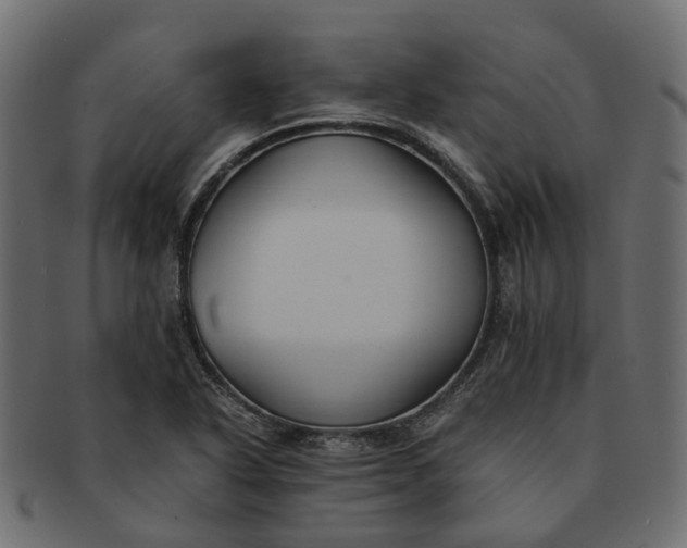 X0000091541318200709071055