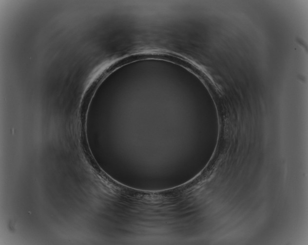 X0000091541319200709071055