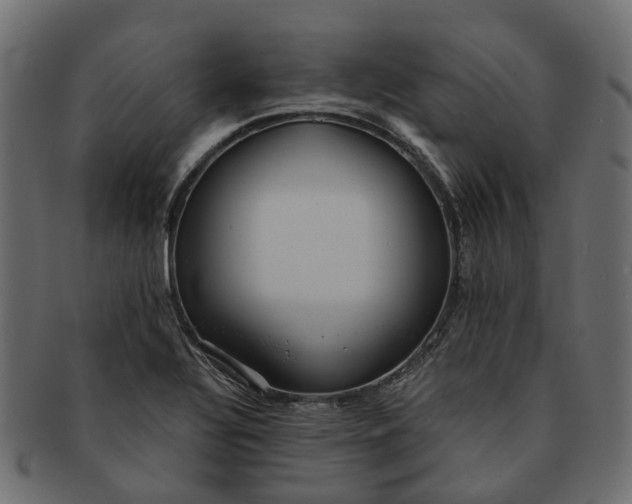 X0000091541320200709071055