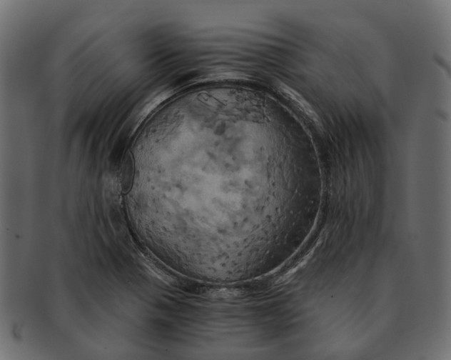 X0000091541321200709071055