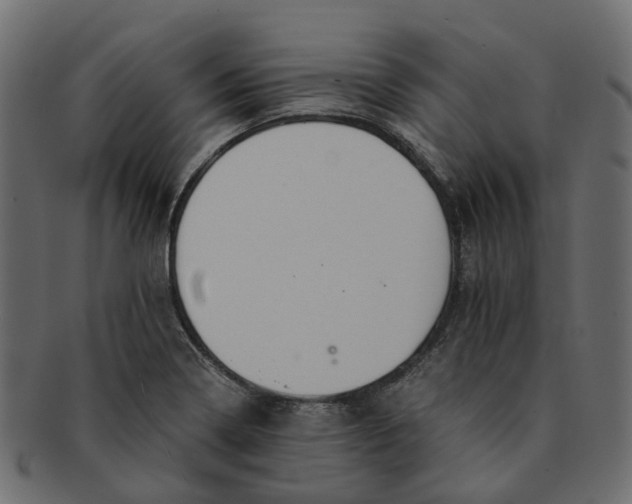 X0000091541322200709071055