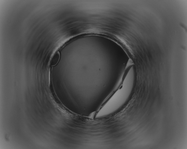 X0000091541323200709071055