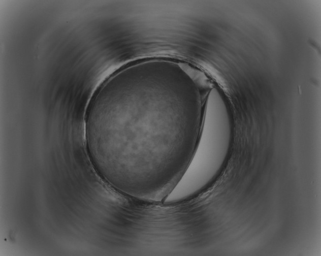 X0000091541324200709071055