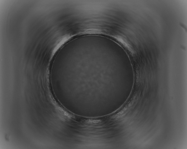 X0000091541325200709071055