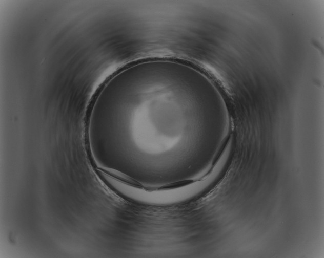 X0000091541326200709071055