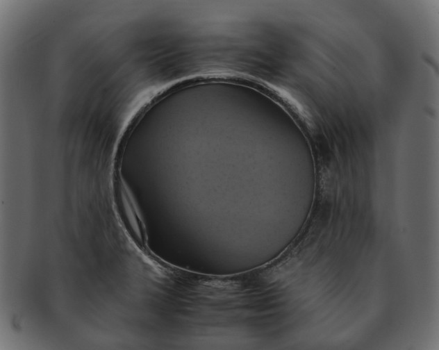 X0000091541327200709071055