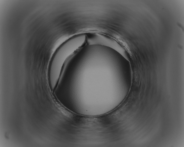 X0000091541328200709071055