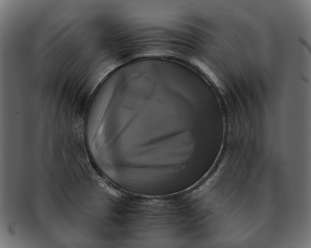 X0000091541329200709071055