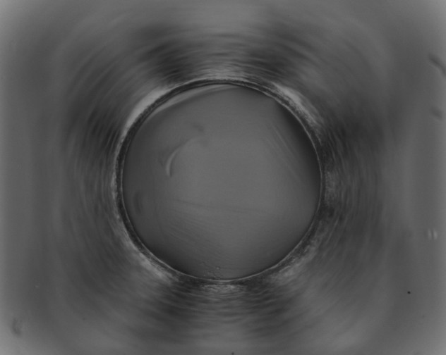 X0000091541331200709071055