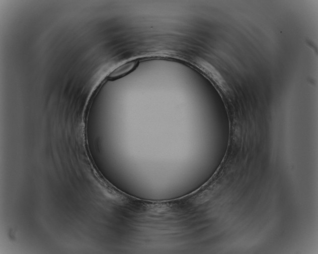 X0000091541332200709071055