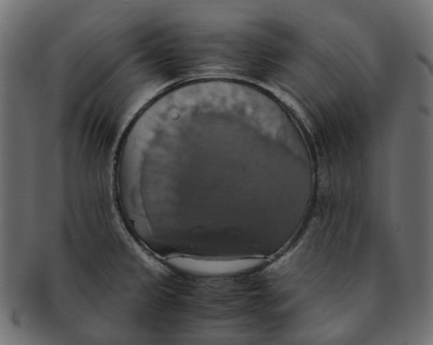 X0000091541333200709071055