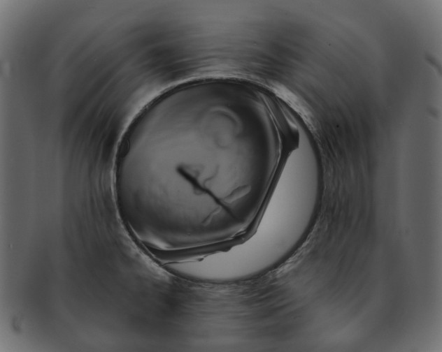 X0000091541334200709071055