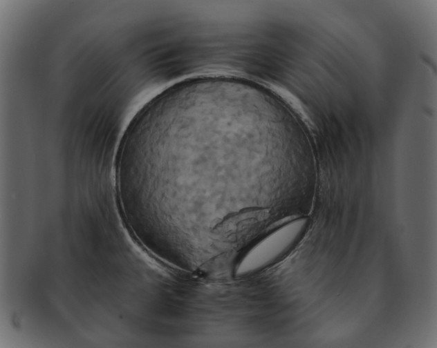 X0000091541335200709071055