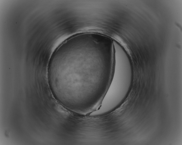 X0000091541336200709071055