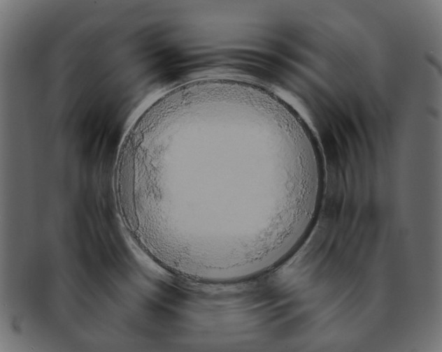 X0000091541338200709071055