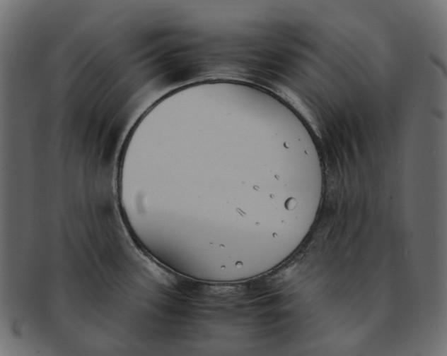 X0000091541339200709071055