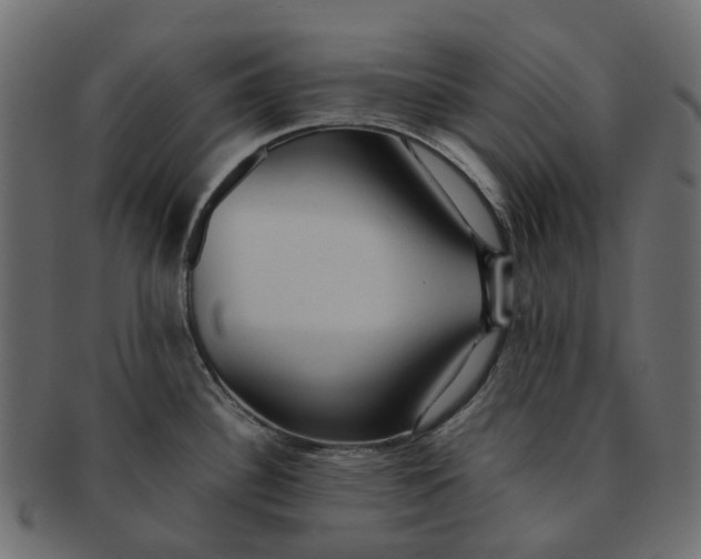 X0000091541340200709071055