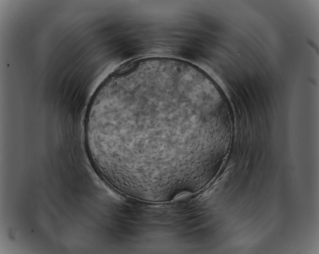 X0000091541341200709071055