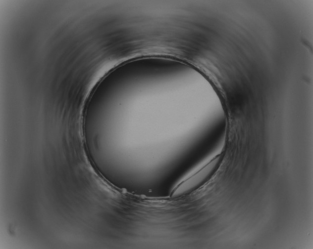 X0000091541342200709071055