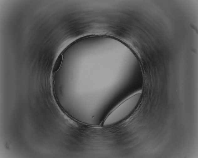 X0000091541343200709071055