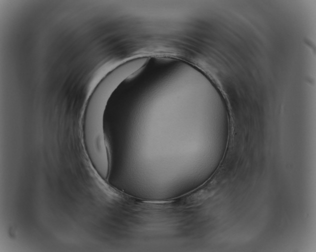 X0000091541344200709071055