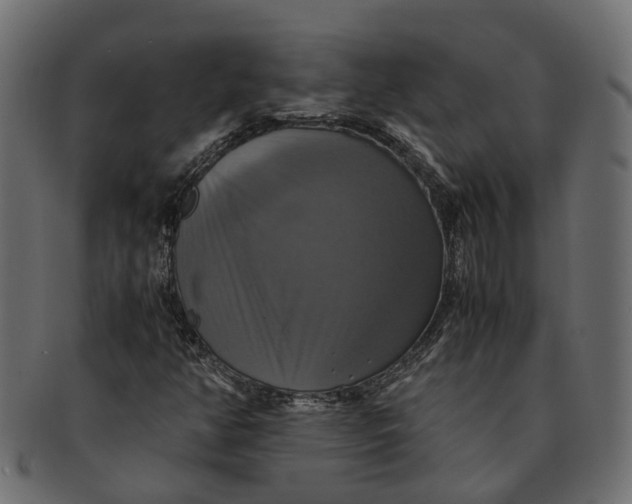 X0000091541350200709071054