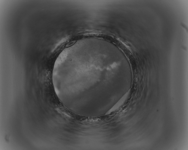 X0000091541351200709071054