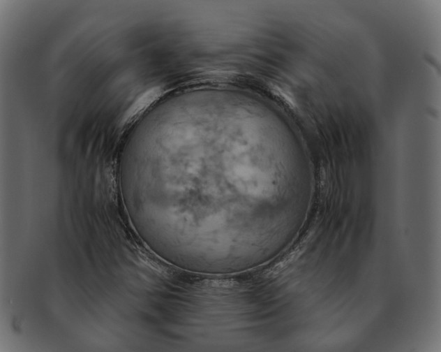 X0000091541354200709071054