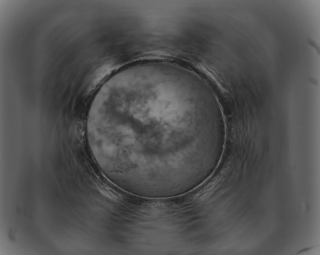 X0000091541355200709071054