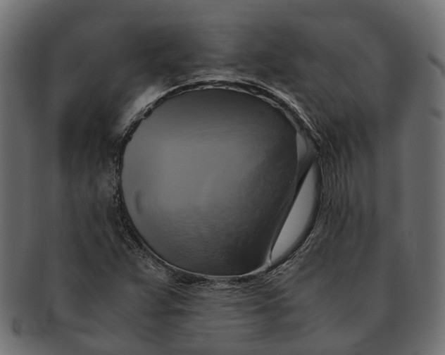 X0000091541359200709071054