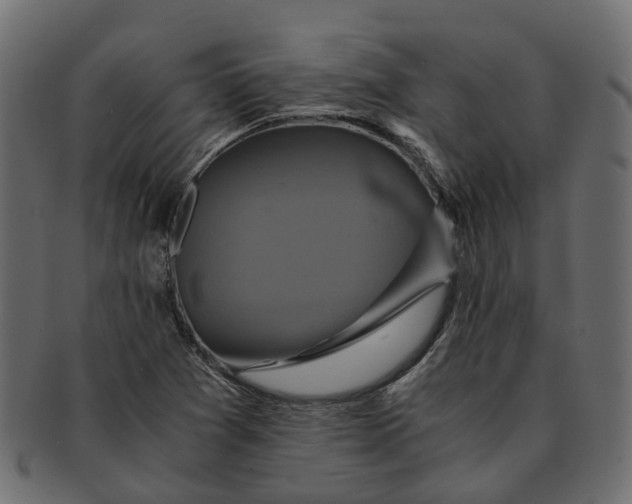 X0000091541361200709071054