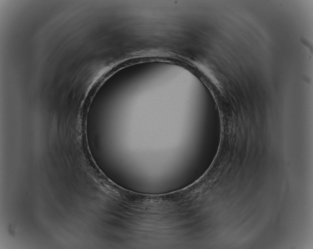 X0000091541364200709071054