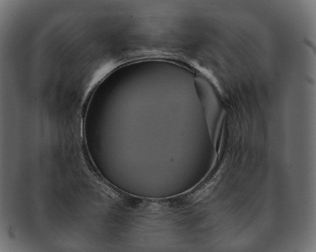 X0000091541365200709071054