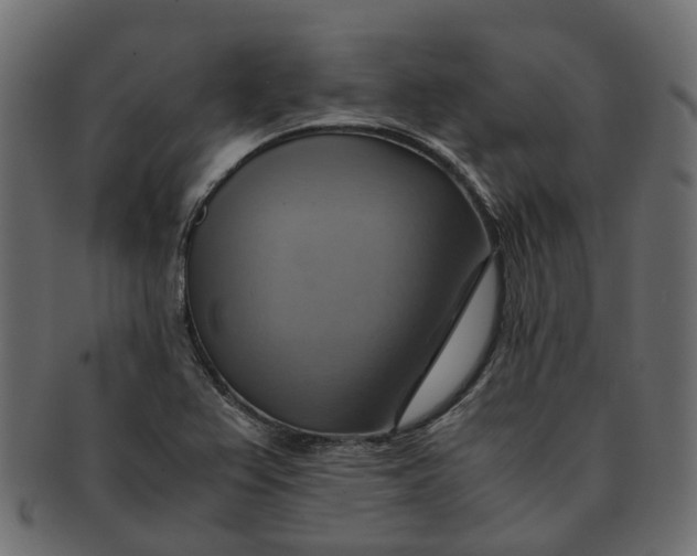 X0000091541367200709071054