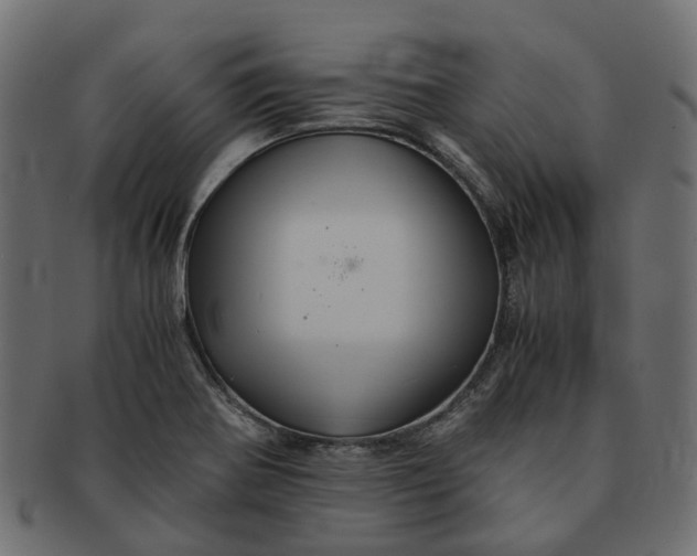 X0000091541370200709071054