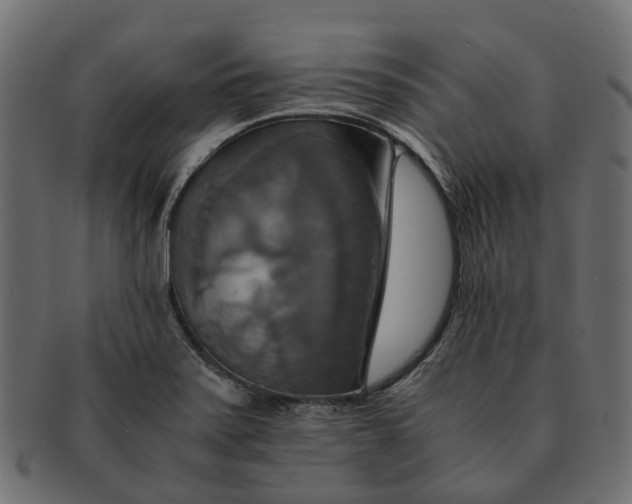 X0000091541371200709071054