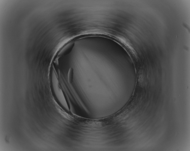 X0000091541372200709071054