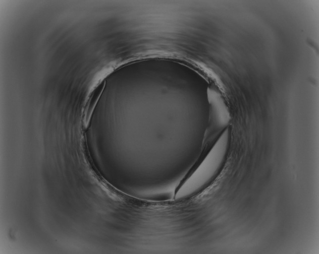 X0000091541373200709071054