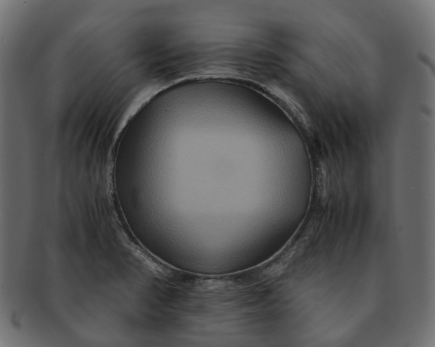 X0000091541374200709071054