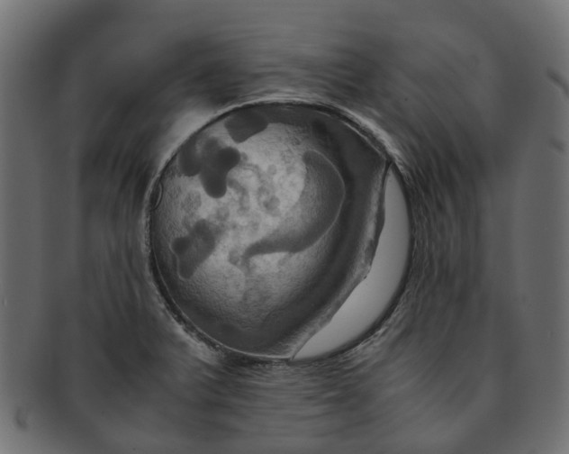 X0000091541375200709071054