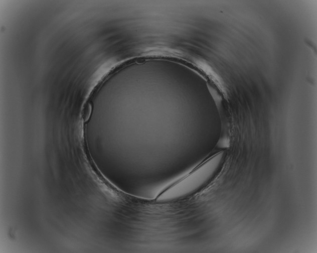 X0000091541376200709071054