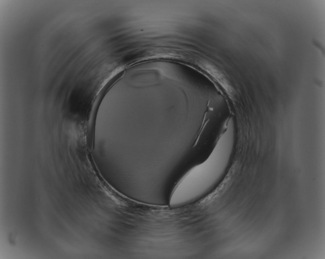 X0000091541377200709071054