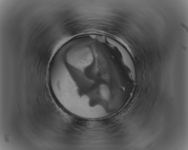 X0000091541379200709071054