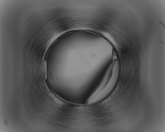 X0000091541380200709071054