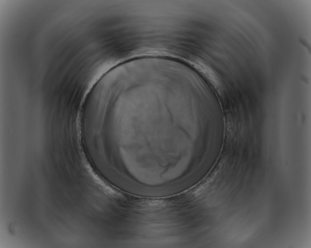 X0000091541382200709071054