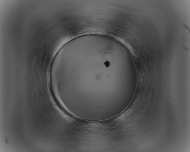 X0000091541383200709071054