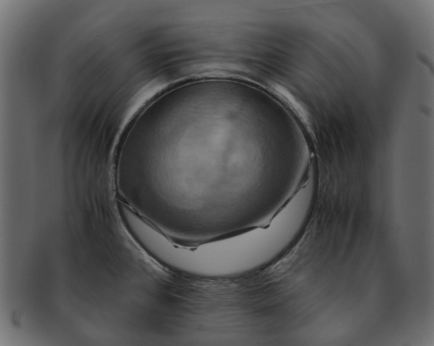 X0000091541384200709071054