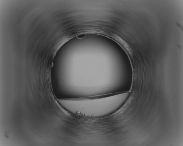 X0000091541385200709071054