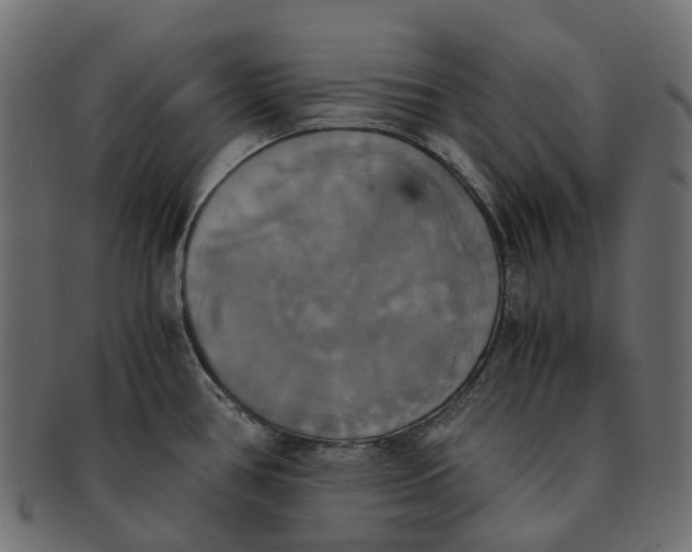 X0000091541386200709071054